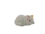 Snoozing Kitty