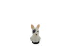 Spotty White Pup