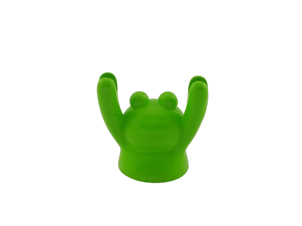 Froggy Card Keeper