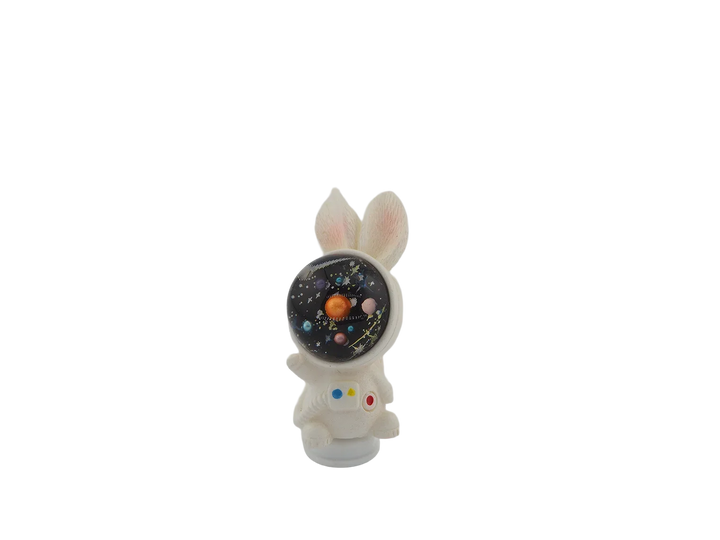 Space Bunny