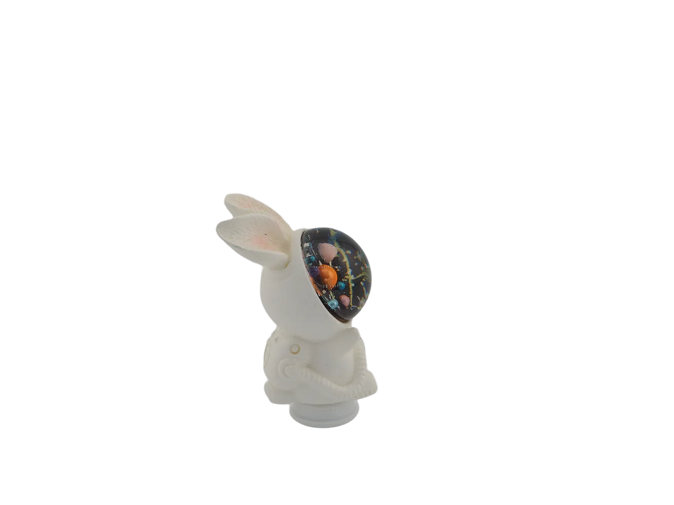 Space Bunny