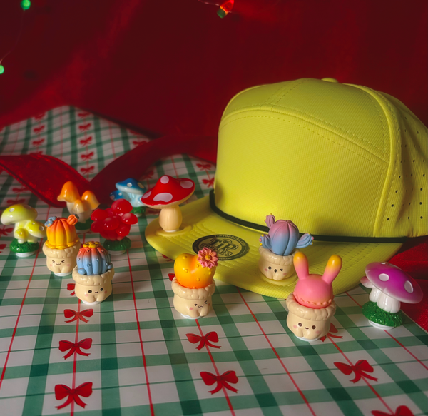 Gifts for Plant Lovers